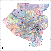 Editable Allegheny County Map - Illustrator / PDF | Digital Vector Maps
