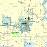 Artesia, NM, NM City Map